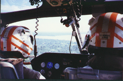 Pilotos.gif (84522 bytes)