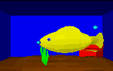 aquarium1.gif (143748 bytes)