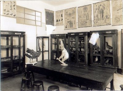 laboratorio.jpg (34145 bytes)
